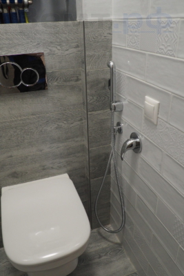 Гигиенический душ и выключатель для вентилятора у унитаза в туалете